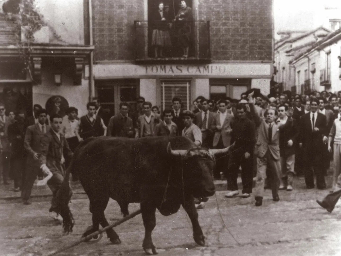 Toro enmaromado en Benavente Hostal Covadonga